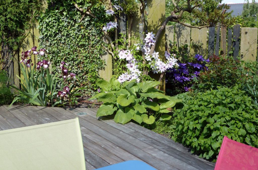 Choisir une terrasse en bois : mon conseil de consultant en jardins